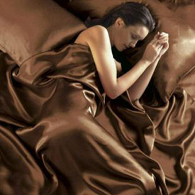 Chocolate Brown - Double Bed Satin Duvet Cover Set